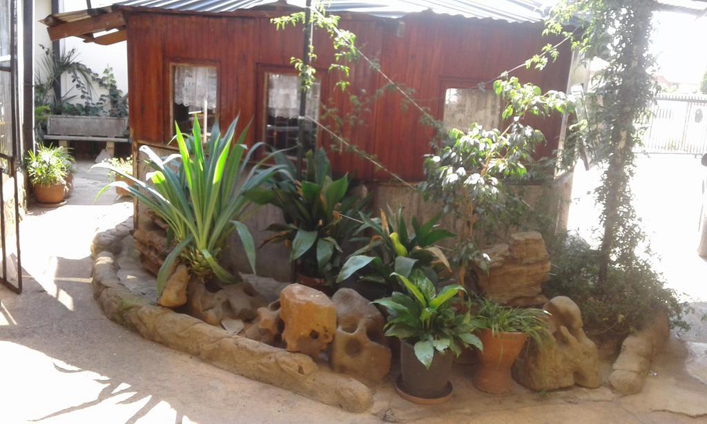 Pat'S Place Machadodorp Ngoại thất bức ảnh